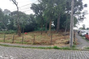 Terreno, no bairro Petrópolis em Caxias do Sul para Comprar