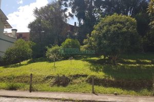 Terreno, no bairro Panazzolo em Caxias do Sul para Comprar