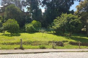 Terreno, no bairro Panazzolo em Caxias do Sul para Comprar