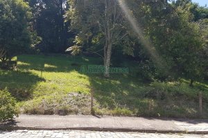 Terreno, no bairro Panazzolo em Caxias do Sul para Comprar