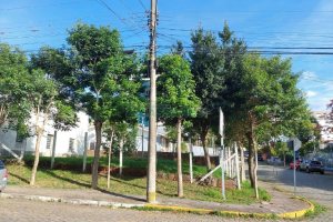 Terreno com 450m², no bairro Panazzolo em Caxias do Sul para Alugar
