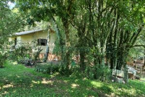 Chácara, no bairro Fazenda Souza em Caxias do Sul para Comprar