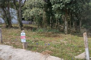 Terreno, no bairro Cidade Nova em Caxias do Sul para Comprar