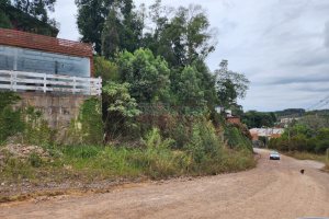Terreno, no bairro Ana Rech em Caxias do Sul para Comprar