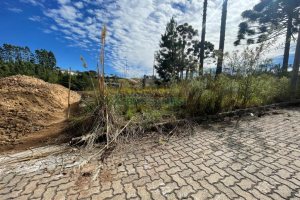 Terreno com 378m², no bairro Ana Rech em Caxias do Sul para Comprar