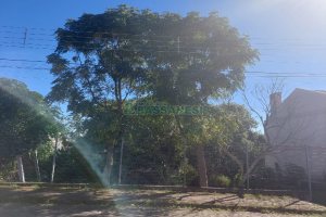 Terreno, no bairro Nossa Senhora de Fátima em Caxias do Sul para Comprar