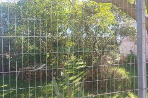 Terreno, no bairro Nossa Senhora de Fátima em Caxias do Sul para Comprar