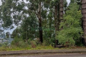 Terreno, no bairro Petrópolis em Caxias do Sul para Comprar