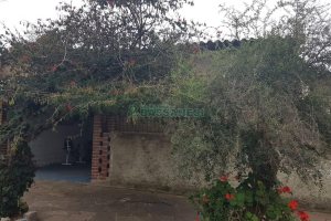 Loja com 63m², no bairro Santa Catarina em Caxias do Sul para Alugar