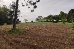 Chácara com 83m², no bairro Linha 40 em Caxias do Sul para Comprar