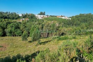 Terreno, no bairro Desvio Rizzo em Caxias do Sul para Comprar