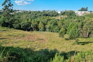 Terreno, no bairro Desvio Rizzo em Caxias do Sul para Comprar