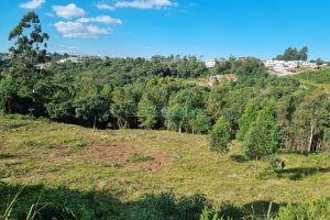 Terreno, no bairro Desvio Rizzo em Caxias do Sul para Comprar