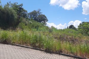 Terreno, no bairro Jardim das Hortências em Caxias do Sul para Comprar
