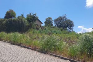 Terreno, no bairro Jardim das Hortências em Caxias do Sul para Comprar