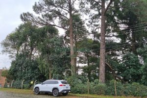 Terreno, no bairro Kayser em Caxias do Sul para Comprar
