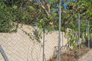 Terreno, no bairro Rio Branco em Caxias do Sul para Comprar