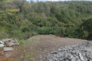 Terreno, no bairro São Giácomo em Caxias do Sul para Comprar