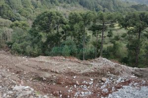 Terreno, no bairro São Giácomo em Caxias do Sul para Comprar