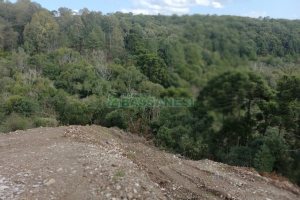 Terreno, no bairro São Giácomo em Caxias do Sul para Comprar