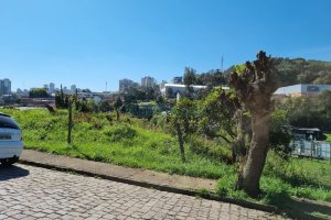 Terreno, no bairro Salgado Filho em Caxias do Sul para Comprar