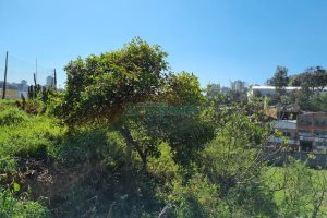 Terreno, no bairro Salgado Filho em Caxias do Sul para Comprar