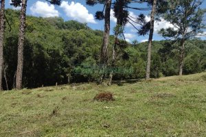 Chácara, no bairro Pedras Brancas em São Marcos para Comprar