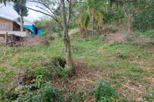 Terreno com 460m², no bairro Charqueadas em Caxias do Sul para Comprar
