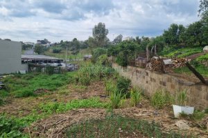 Terreno com 991m², no bairro Sanvitto em Caxias do Sul para Comprar