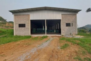 Pavilhão com 1188m², no bairro São Gotardo em Flores da Cunha para Alugar