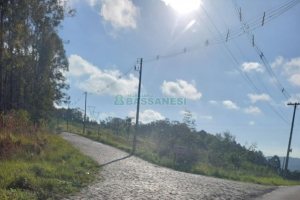 Terreno com 20000m², no bairro Nossa Senhora da Saúde em Caxias do Sul para Comprar