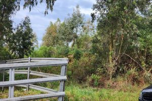 Terreno com 360m², no bairro Sanvitto em Caxias do Sul para Comprar