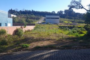 Terreno, no bairro Treviso em Caxias do Sul para Comprar