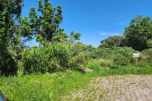 Terreno com 366m², no bairro Salgado Filho em Caxias do Sul para Comprar