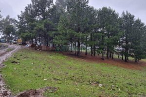 Terreno com 5551m², no bairro Nossa Senhora do Rosário em Caxias do Sul para Comprar