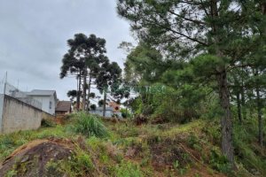 Terreno com 1787m², no bairro São Virgílio em Caxias do Sul para Comprar