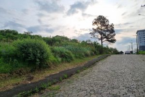 Terreno, no bairro Marechal Floriano em Caxias do Sul para Comprar