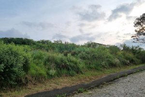 Terreno, no bairro Marechal Floriano em Caxias do Sul para Comprar