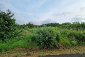 Terreno, no bairro Marechal Floriano em Caxias do Sul para Comprar