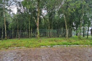 Terreno, no bairro Nossa Senhora do Rosário em Caxias do Sul para Comprar