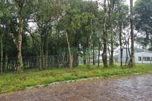 Terreno, no bairro Nossa Senhora do Rosário em Caxias do Sul para Comprar