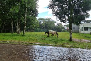 Terreno, no bairro Nossa Senhora do Rosário em Caxias do Sul para Comprar