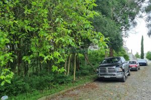 Terreno com 800m², no bairro Sant Etiene em Caxias do Sul para Comprar