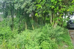 Terreno com 800m², no bairro Sant Etiene em Caxias do Sul para Comprar