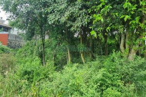 Terreno com 800m², no bairro Sant Etiene em Caxias do Sul para Comprar