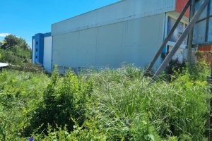 Terreno com 800m², no bairro Cinqüentenário em Caxias do Sul para Comprar