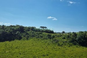 Chácara, no bairro Vila Seca em Caxias do Sul para Comprar