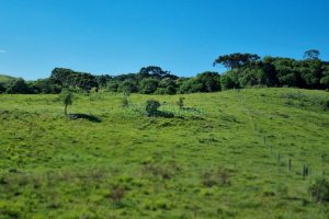Chácara, no bairro Vila Seca em Caxias do Sul para Comprar