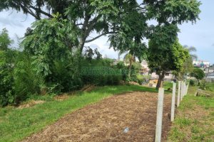 Terreno com 999m², no bairro Cruzeiro em Caxias do Sul para Comprar