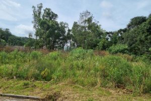 Terreno com 2412m², no bairro De Zorzi em Caxias do Sul para Comprar